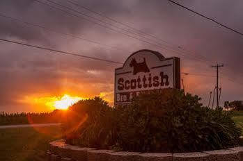 Alojamento de Acomodação e Pequeno-almoço Scottish 2*
